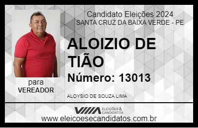 Candidato ALOIZIO DE TIÃO 2024 - SANTA CRUZ DA BAIXA VERDE - Eleições