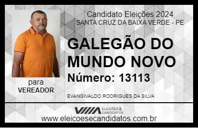 Candidato GALEGÃO DO MUNDO NOVO 2024 - SANTA CRUZ DA BAIXA VERDE - Eleições