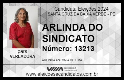 Candidato ARLINDA DO SINDICATO 2024 - SANTA CRUZ DA BAIXA VERDE - Eleições