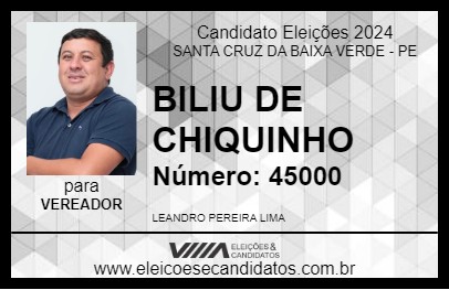 Candidato BILIU DE CHIQUINHO 2024 - SANTA CRUZ DA BAIXA VERDE - Eleições