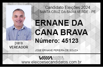 Candidato ERNANE DA CANA BRAVA 2024 - SANTA CRUZ DA BAIXA VERDE - Eleições