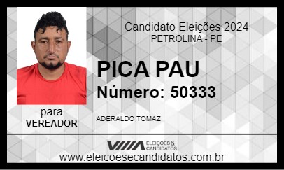 Candidato PICA PAU 2024 - PETROLINA - Eleições