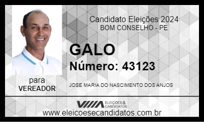 Candidato GALO 2024 - BOM CONSELHO - Eleições