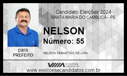 Candidato NELSON 2024 - SANTA MARIA DO CAMBUCÁ - Eleições