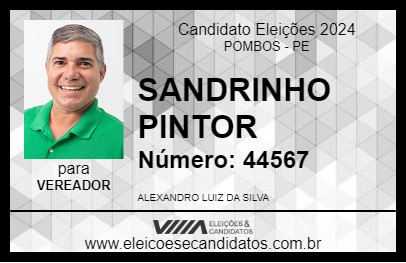 Candidato SANDRINHO PINTOR 2024 - POMBOS - Eleições