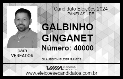 Candidato GALBINHO GINGANET 2024 - PANELAS - Eleições