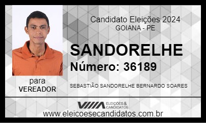 Candidato SANDORELHE 2024 - GOIANA - Eleições