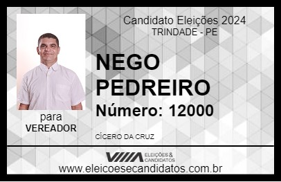 Candidato NEGO PEDREIRO 2024 - TRINDADE - Eleições