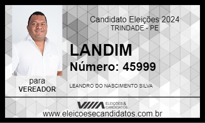 Candidato LANDIM 2024 - TRINDADE - Eleições