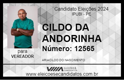 Candidato CILDO DA ANDORINHA 2024 - IPUBI - Eleições