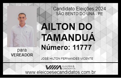 Candidato AILTON DO TAMANDUÁ 2024 - SÃO BENTO DO UNA - Eleições