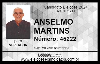 Candidato ANSELMO MARTINS  2024 - TRIUNFO - Eleições