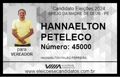 Candidato HANNAELTON PETELECO 2024 - BREJO DA MADRE DE DEUS - Eleições