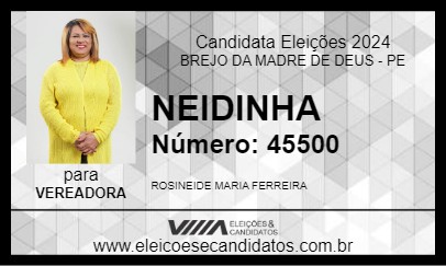 Candidato NEIDINHA 2024 - BREJO DA MADRE DE DEUS - Eleições