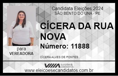 Candidato CÍCERA DA RUA NOVA 2024 - SÃO BENTO DO UNA - Eleições