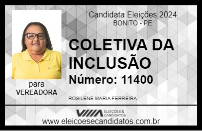 Candidato ROSA DA COLETIVA DA INCLUSÃO 2024 - BONITO - Eleições