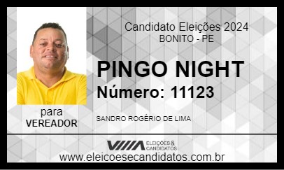 Candidato PINGO DE ALTO BONITO 2024 - BONITO - Eleições