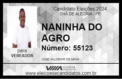 Candidato NANINHA DO AGRO 2024 - CHÃ DE ALEGRIA - Eleições