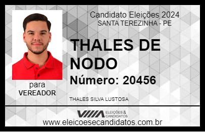 Candidato THALES DE NODO 2024 - SANTA TEREZINHA - Eleições