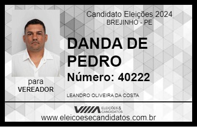 Candidato DANDA DE PEDRO 2024 - BREJINHO - Eleições