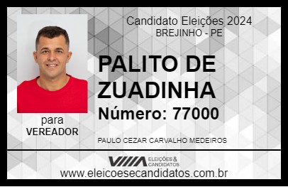 Candidato PALITO DE ZUADINHA 2024 - BREJINHO - Eleições