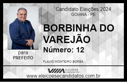 Candidato BORBINHA DO VAREJÃO 2024 - GOIANA - Eleições