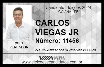 Candidato CARLOS VIEGAS JR 2024 - GOIANA - Eleições