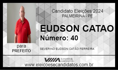 Candidato EUDSON CATAO 2024 - PALMEIRINA - Eleições