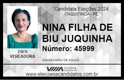 Candidato NINA FILHA DE BIU JUQUINHA 2024 - ITAQUITINGA - Eleições