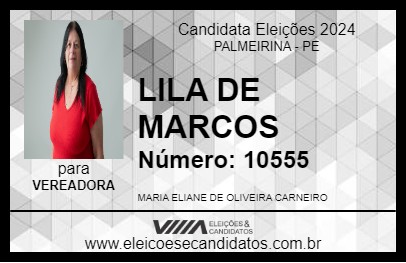 Candidato LILA DE MARCOS 2024 - PALMEIRINA - Eleições