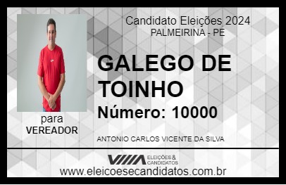 Candidato GALEGO DE TOINHO 2024 - PALMEIRINA - Eleições