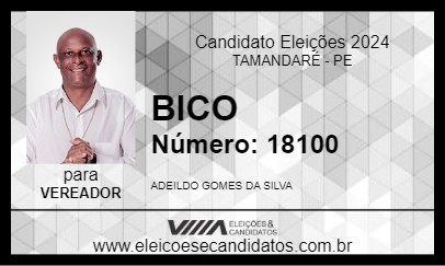 Candidato BICO 2024 - TAMANDARÉ - Eleições