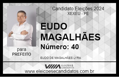 Candidato EUDO  MAGALHÃES 2024 - XEXÉU - Eleições