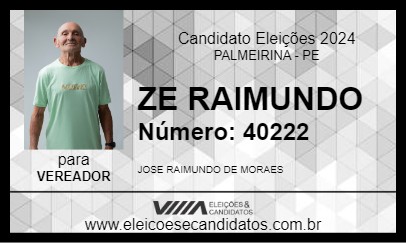 Candidato ZE RAIMUNDO 2024 - PALMEIRINA - Eleições