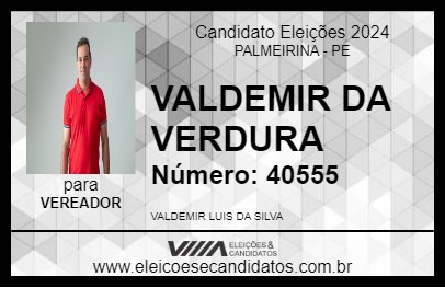 Candidato VALDEMIR DA VERDURA 2024 - PALMEIRINA - Eleições