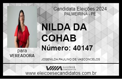 Candidato NILDA DA COHAB 2024 - PALMEIRINA - Eleições