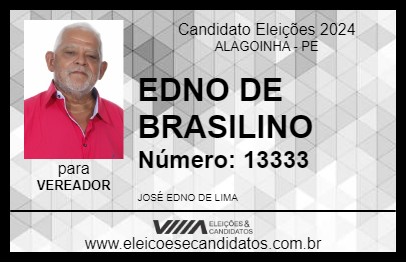 Candidato EDNO DE BRASILINO 2024 - ALAGOINHA - Eleições