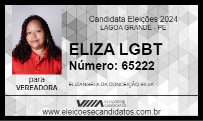 Candidato ELIZA LGBT 2024 - LAGOA GRANDE - Eleições