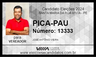 Candidato PICA-PAU 2024 - SANTA MARIA DA BOA VISTA - Eleições