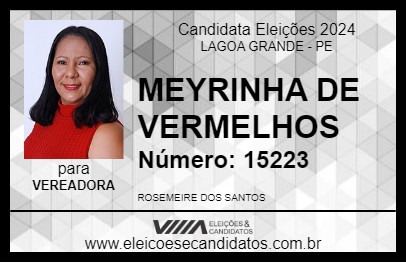 Candidato MEYRINHA DE VERMELHOS 2024 - LAGOA GRANDE - Eleições