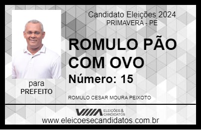 Candidato ROMULO PÃO COM OVO 2024 - PRIMAVERA - Eleições