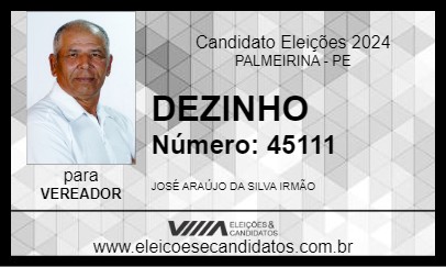 Candidato DEZINHO 2024 - PALMEIRINA - Eleições