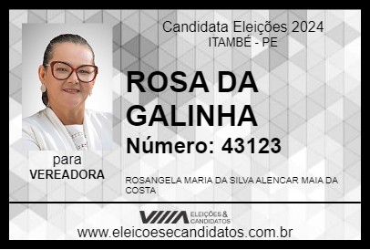 Candidato ROSA DA GALINHA 2024 - ITAMBÉ - Eleições