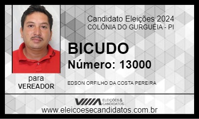 Candidato BICUDO 2024 - COLÔNIA DO GURGUÉIA - Eleições