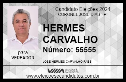 Candidato HERMES CARVALHO 2024 - CORONEL JOSÉ DIAS - Eleições