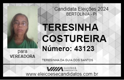 Candidato TERESINHA COSTUREIRA 2024 - BERTOLÍNIA - Eleições