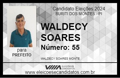 Candidato WALDECY SOARES 2024 - BURITI DOS MONTES - Eleições