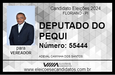 Candidato DEPUTADO DO PEQUI 2024 - FLORIANO - Eleições