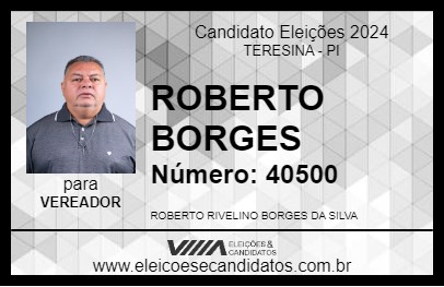 Candidato ROBERTO BORGES 2024 - TERESINA - Eleições