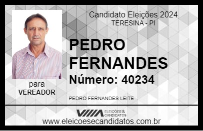 Candidato PEDRO FERNANDES 2024 - TERESINA - Eleições